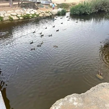Comodo En La Playa Con Gran Patio Exterior Cerca Del Met Y Campo De Golf
